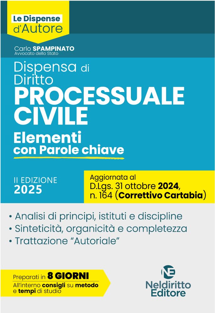 Dispensa di Procedura Civile. Aggiornata al Decreto Correttivo Cartabia D.Lgs. 31 ottobre 2024, n. 164 book