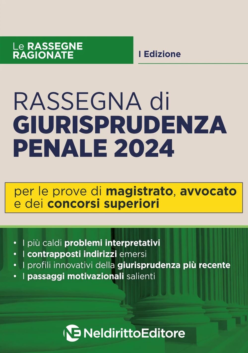 Rassegna di giurisprudenza penale 2024. Per Magistratura, avvocato e concorsi superiori book