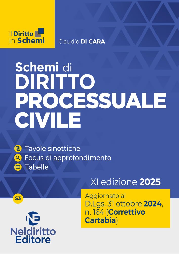 Schemi di diritto procedura civile. Aggiornato al Decreto Correttivo Cartabia D.Lgs. 31 ottobre 2024, n. 164 book