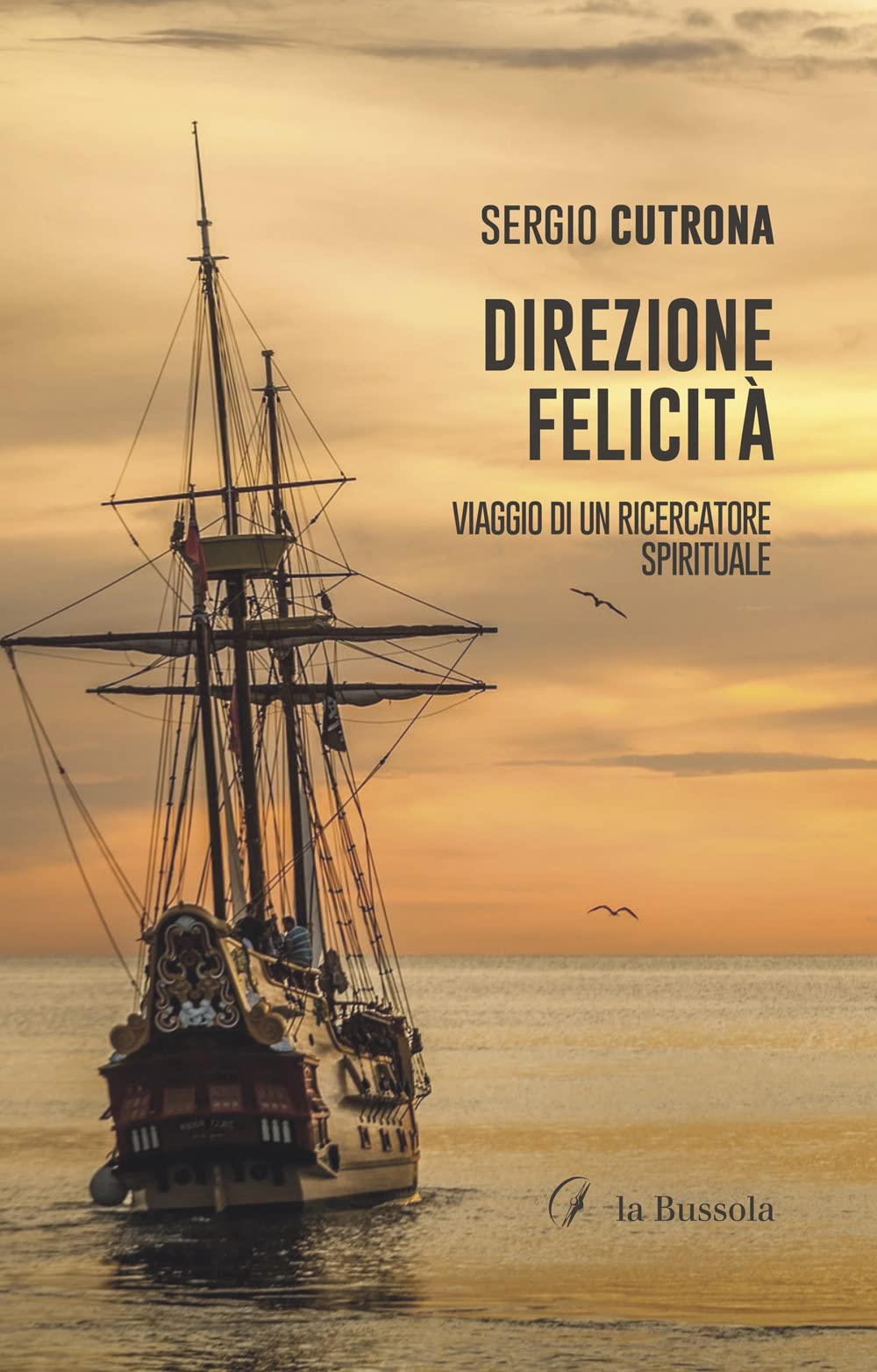 Direzione felicità. Viaggio di un ricercatore spirituale book