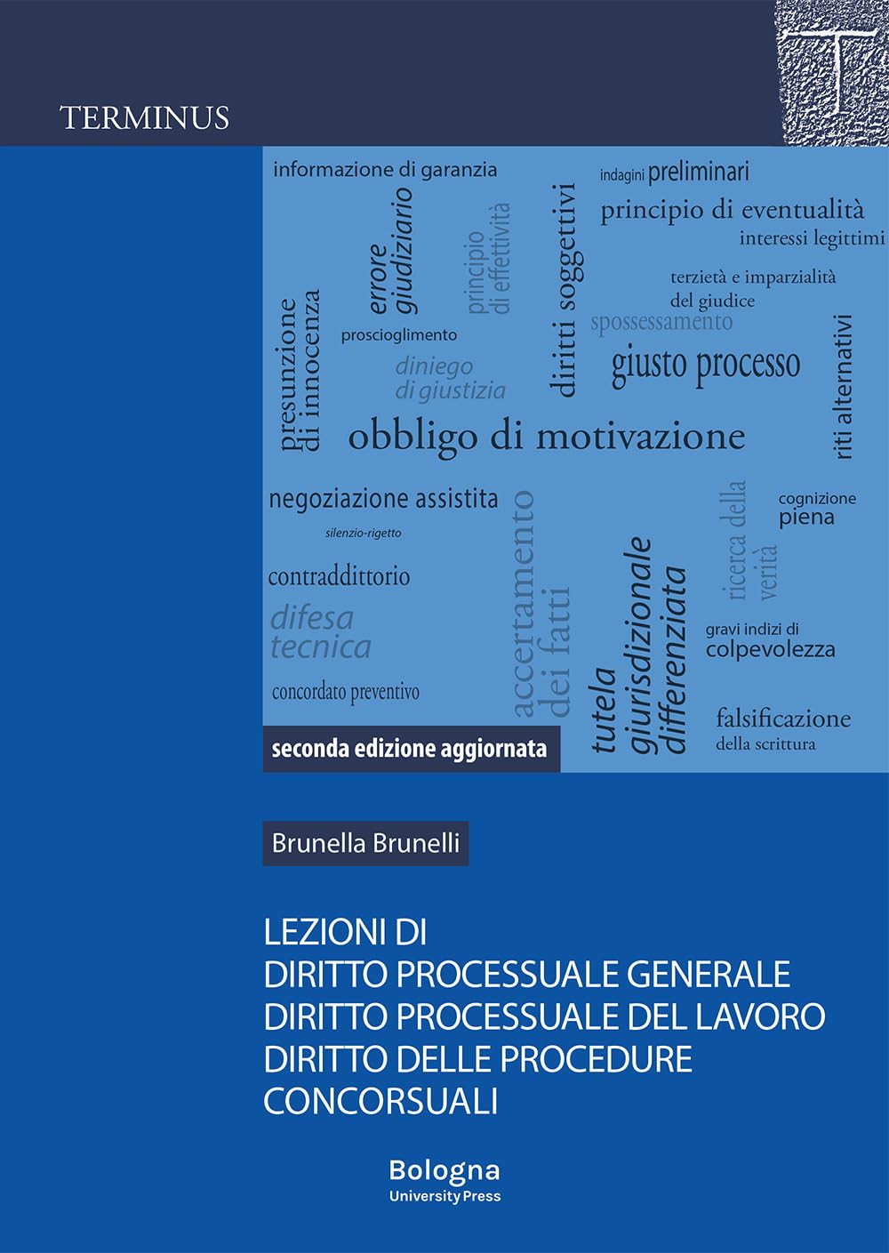 Lezioni di diritto processuale generale, diritto processuale del lavoro, diritto delle procedure concorsuali book