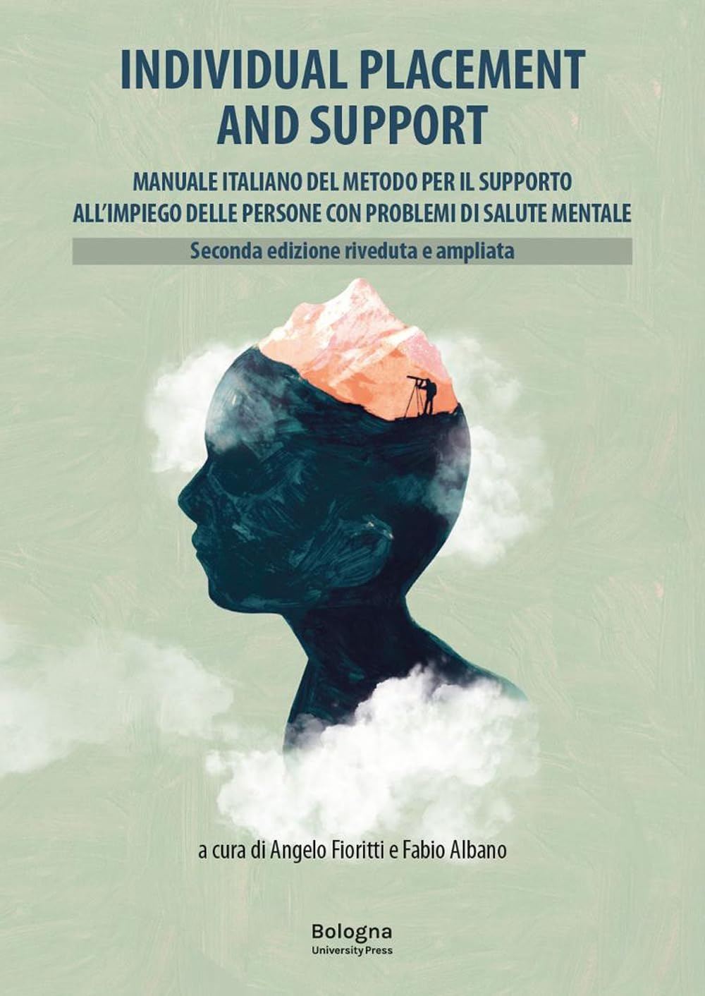 Individual Placement and Support. Manuale italiano del metodo per il supporto all'impiego delle persone con problemi di salute mentale. Ediz. riveduta e ampliata book
