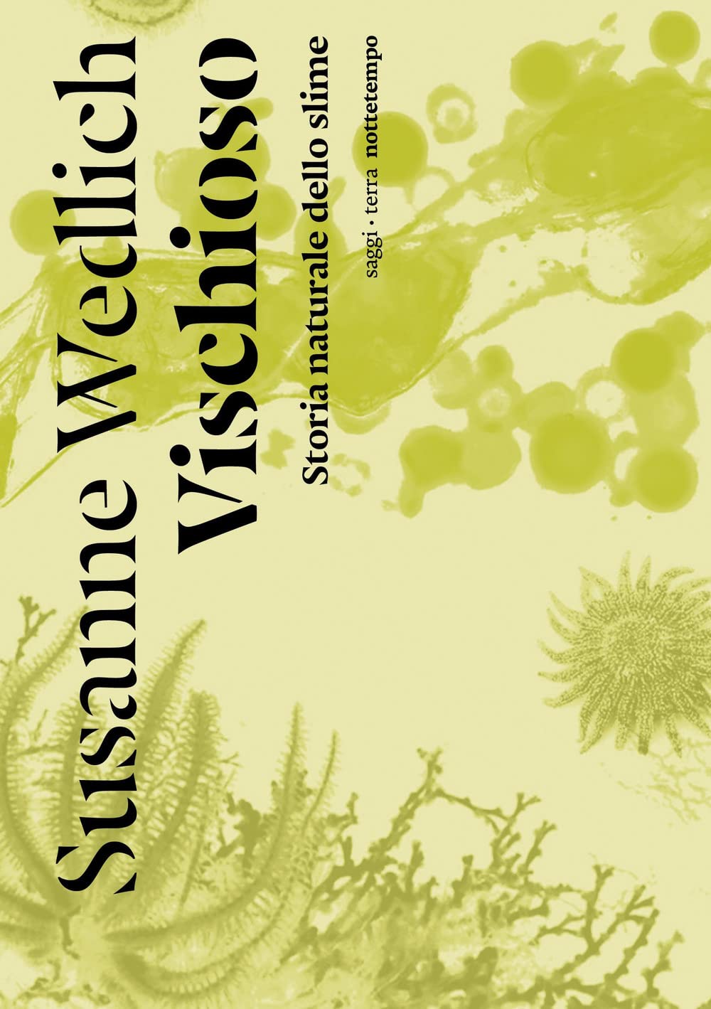Vischioso. Storia naturale dello slime book