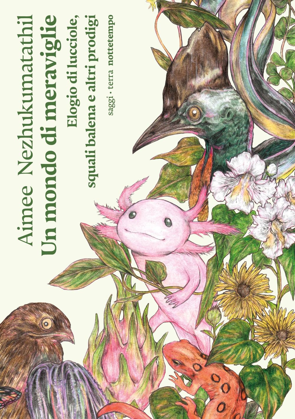 Un mondo di meraviglie. Elogio di lucciole, squali balena e altri prodigi (Saggi. Terra) Art & Literature