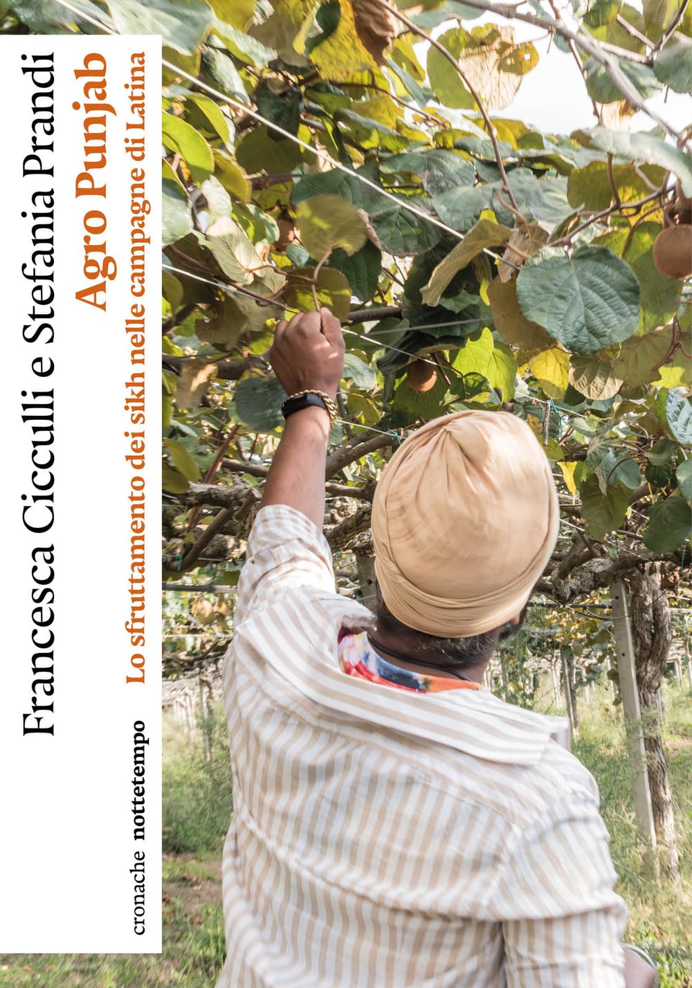 Agro Punjab. Lo sfruttamento dei sikh nelle campagne di Latina book