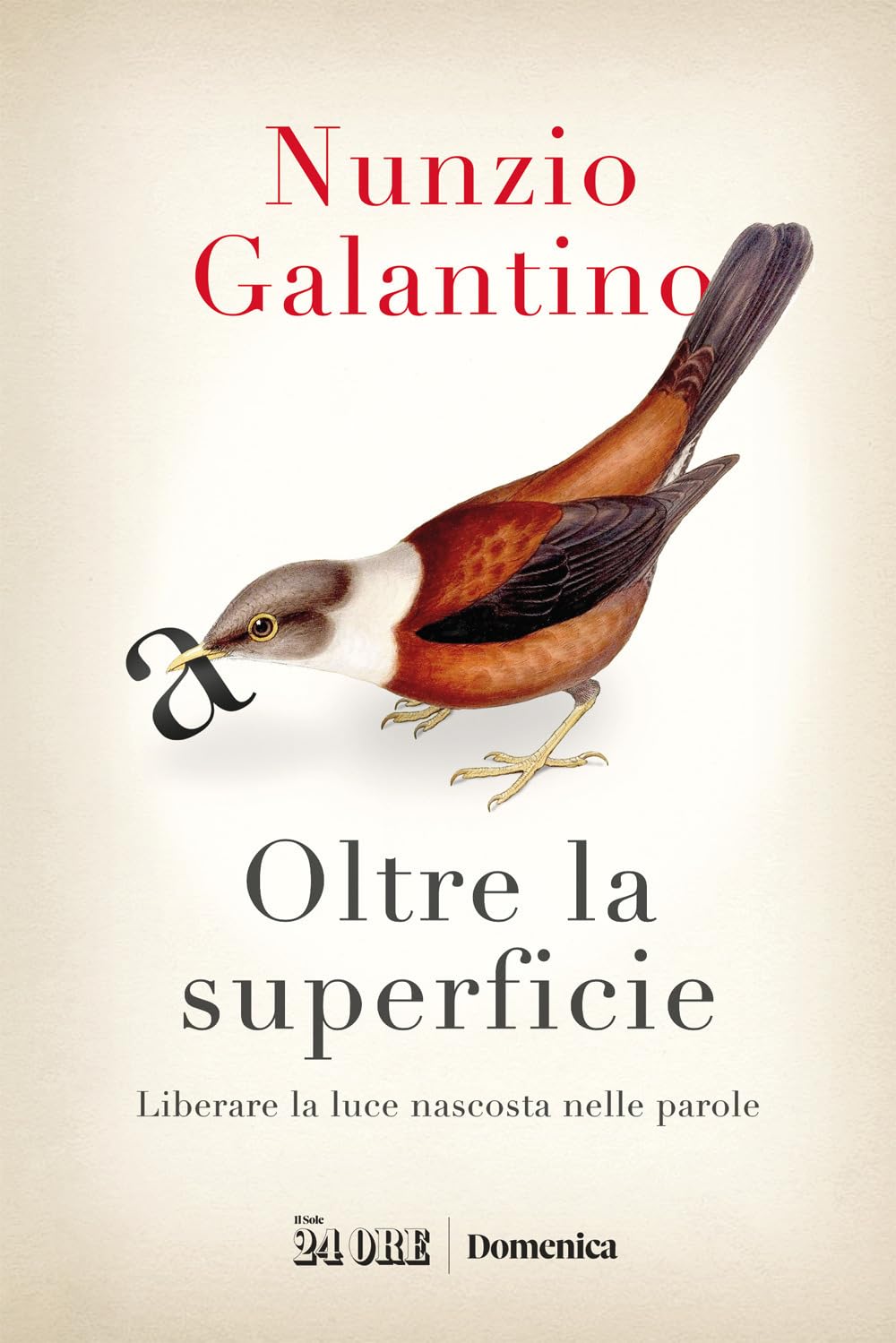 Oltre la superficie. Liberare la luce nascosta nelle parole book