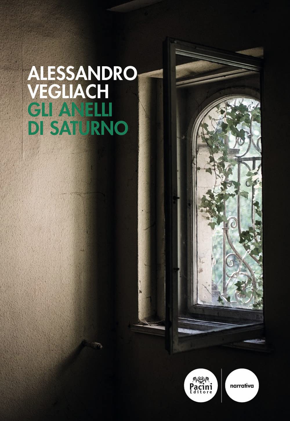 Gli anelli di Saturno book