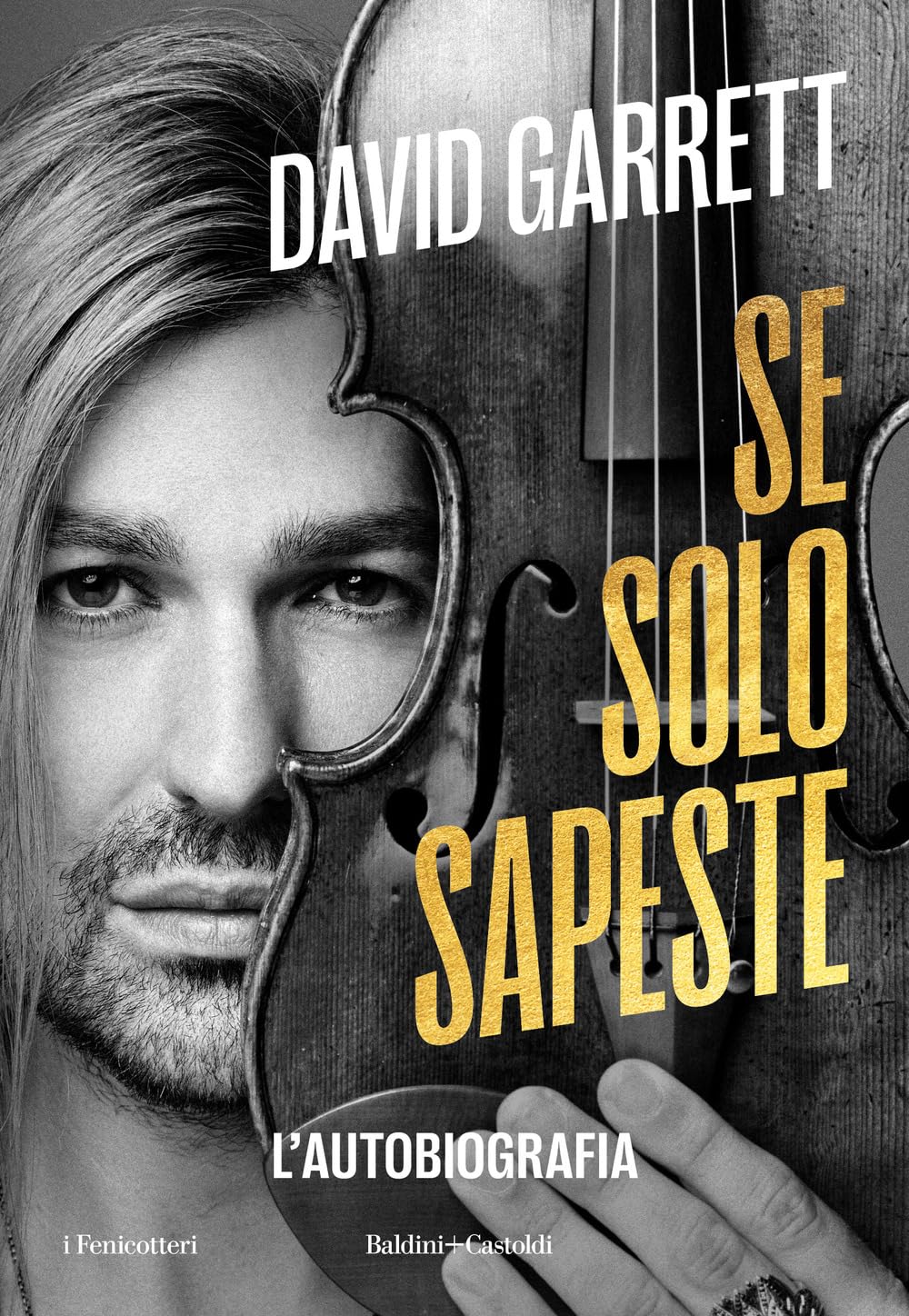 Se solo sapeste (I fenicotteri) Art & Literature