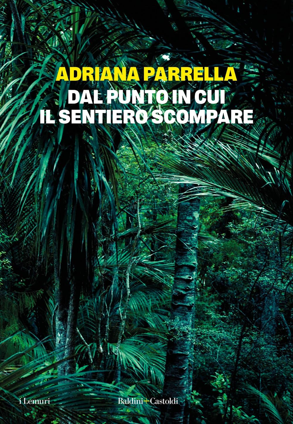 Dal punto in cui il sentiero scompare book