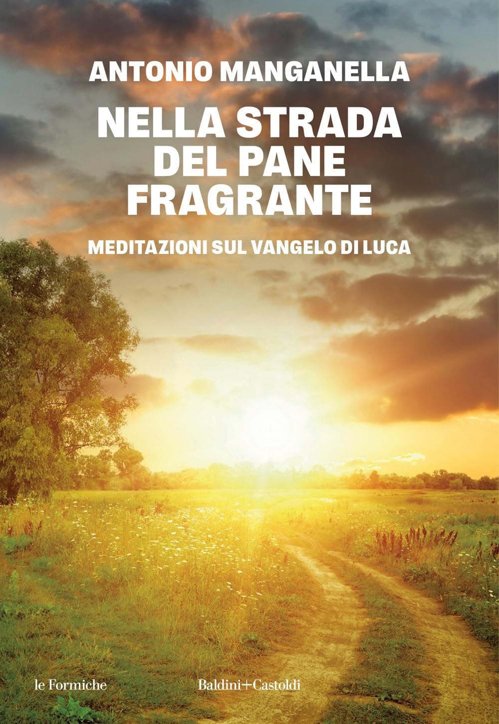 Nella strada del pane fragrante. Meditazioni sul Vangelo di Luca (Le formiche) Religion & Esotericism