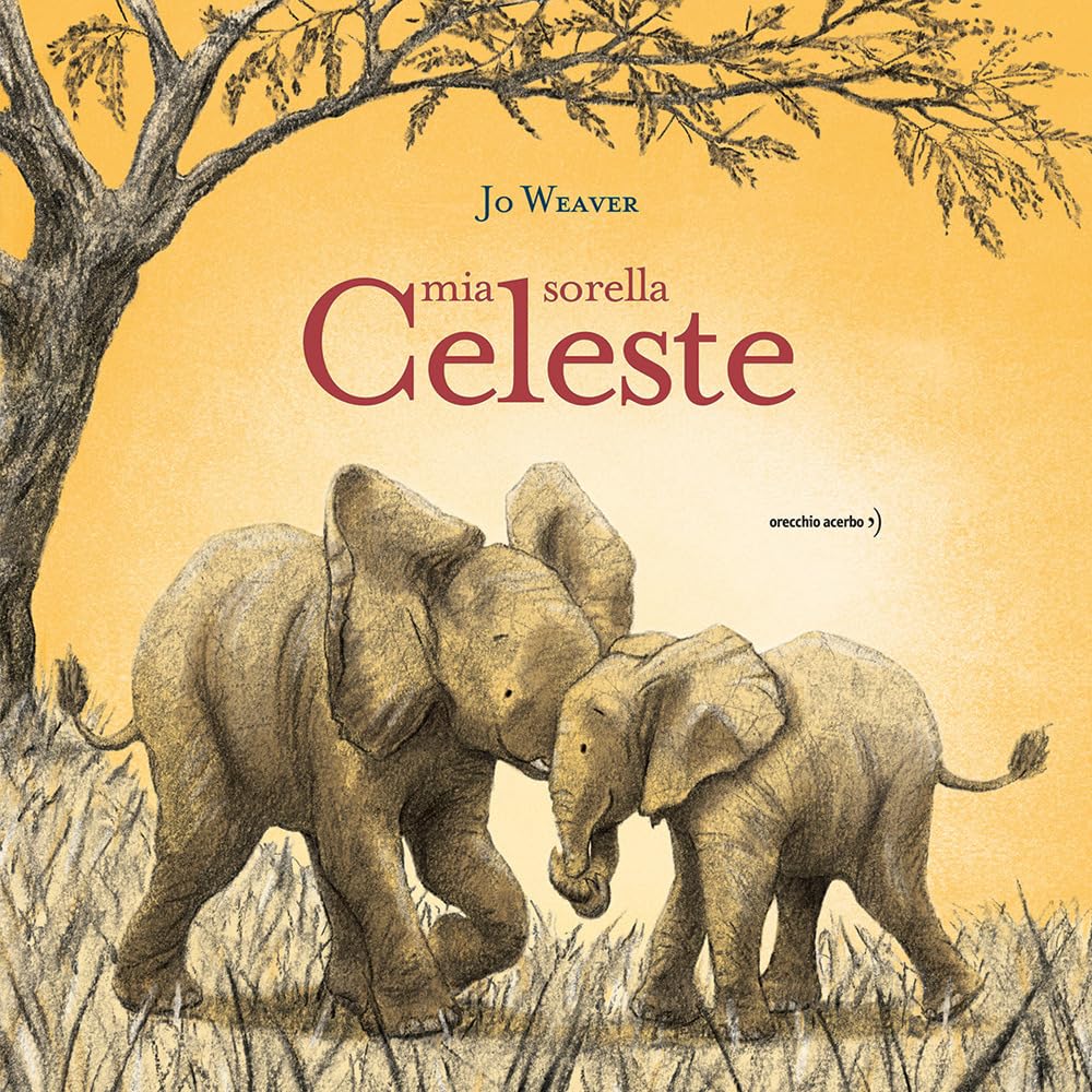 Mia sorella celeste. Ediz. a colori book