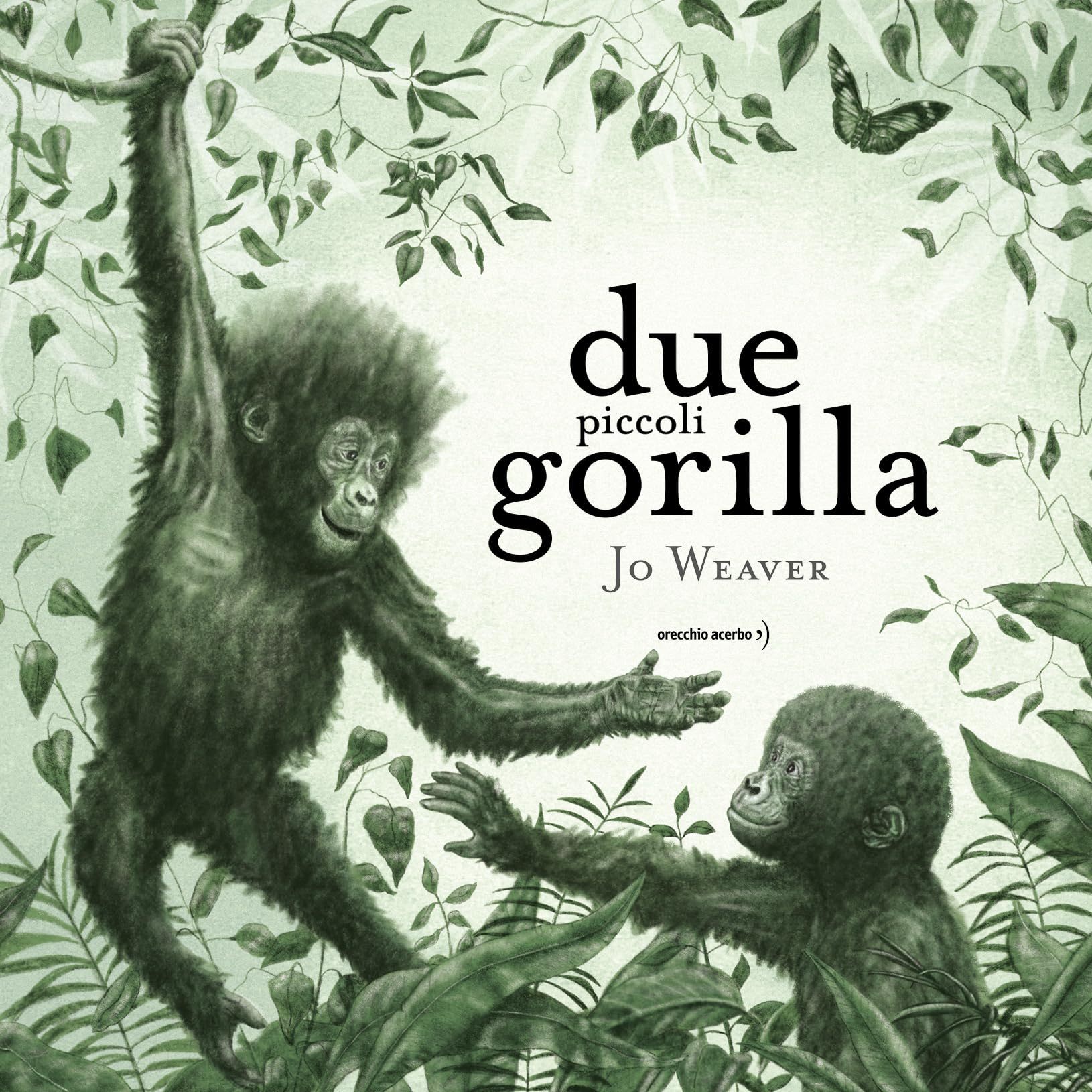 Due piccoli gorilla. Ediz. a colori book