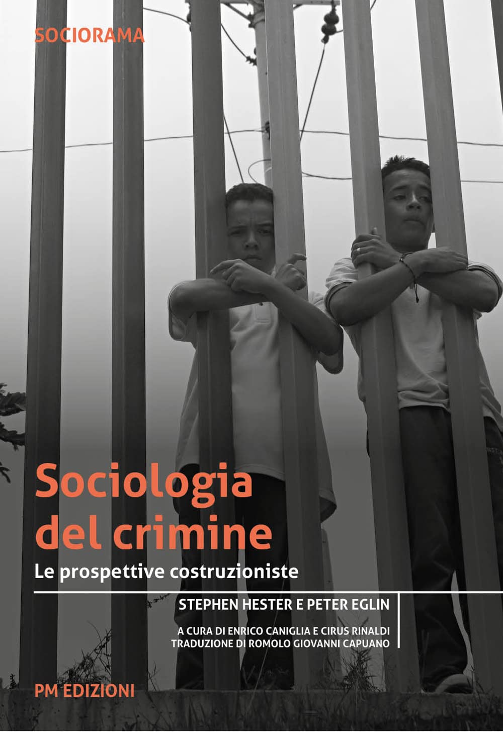 Sociologia del crimine: Le prospettive costruzioniste book