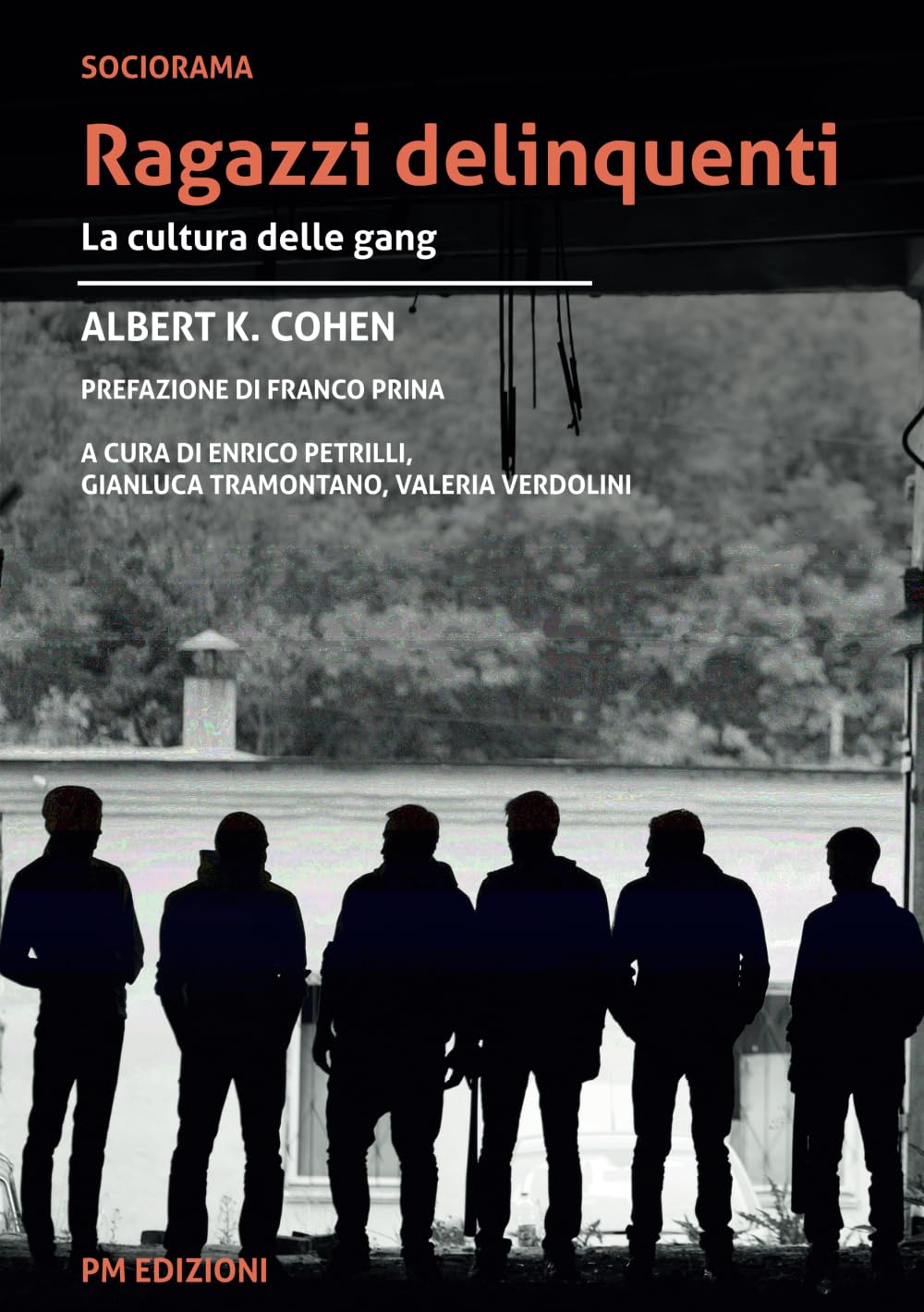 Ragazzi delinquenti: La cultura delle gang book