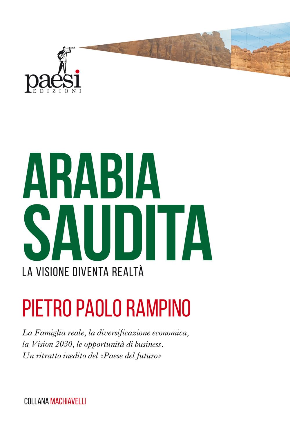 Arabia Saudita. La visione diventa realtà book