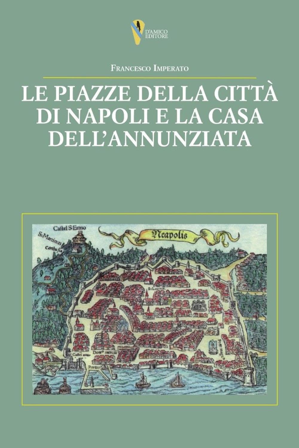 Le piazze della città di Napoli e la casa dell’Annunziata book