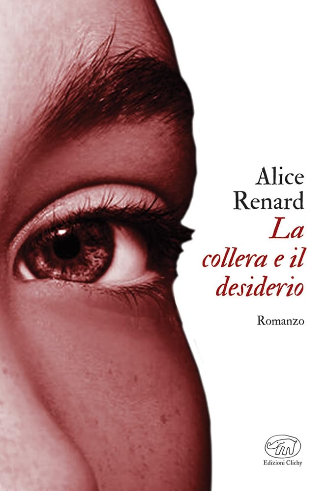 La collera e il desiderio (Gare du Nord) Contemporary literature