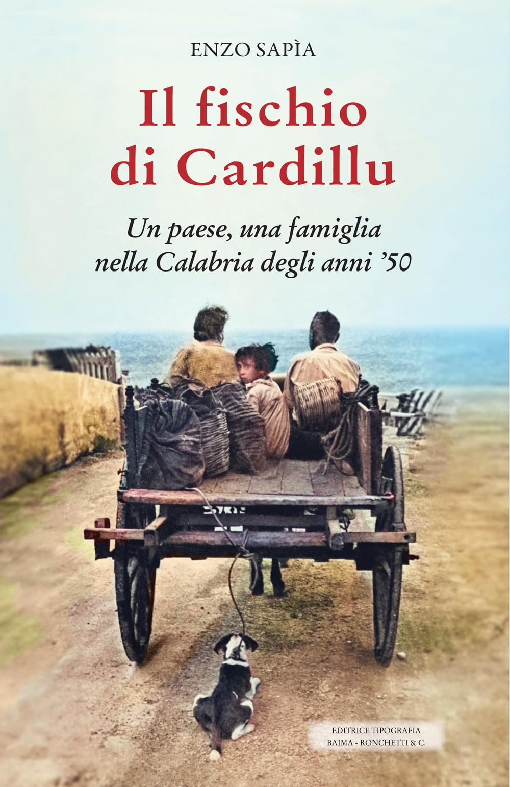 Il fischio di Cardillu. Un paese, una famiglia nella Calabria degli anni '50 book