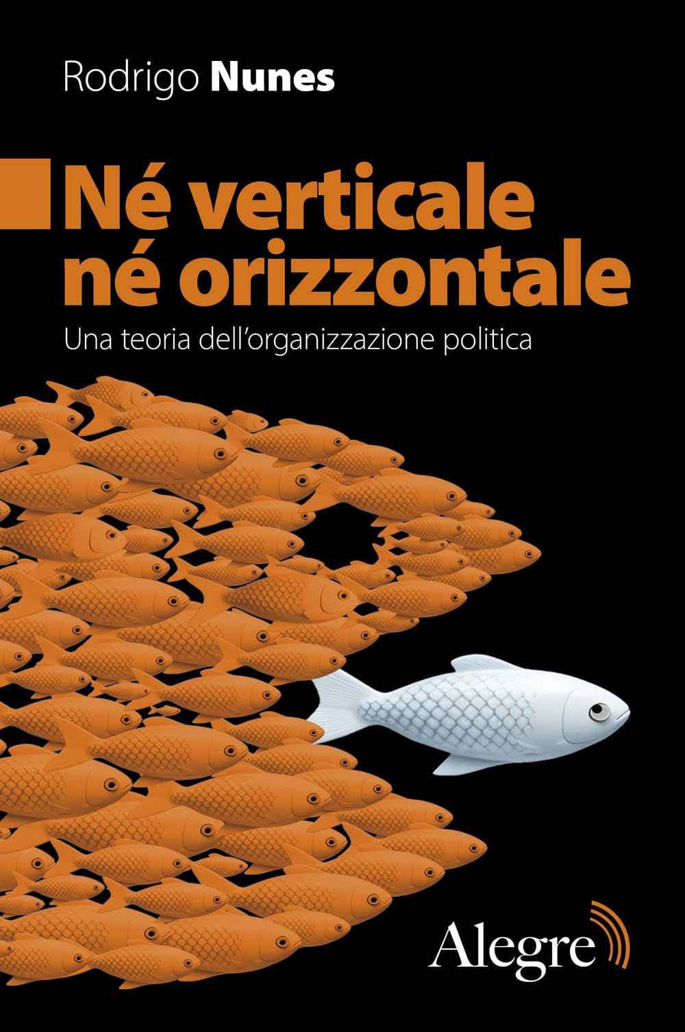 Né verticale né orizzontale. Una teoria dell'organizzazione politica book