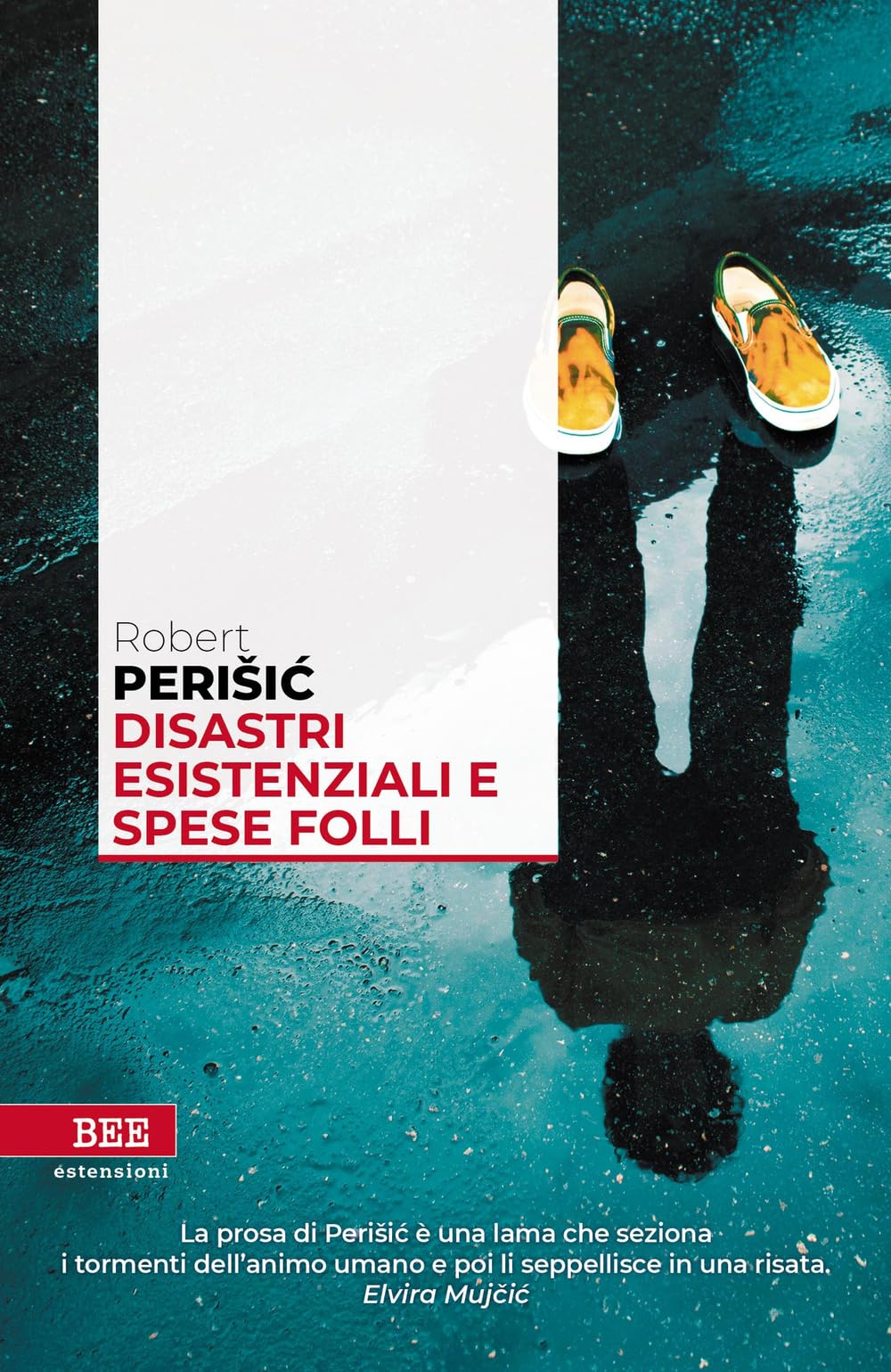 Disastri esistenziali e spese folli book