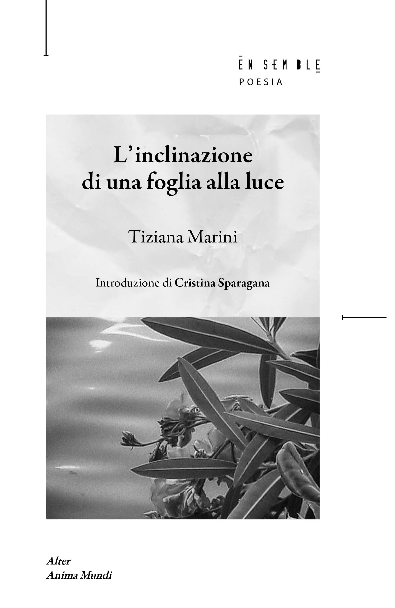 L' inclinazione di una foglia alla luce Poetry