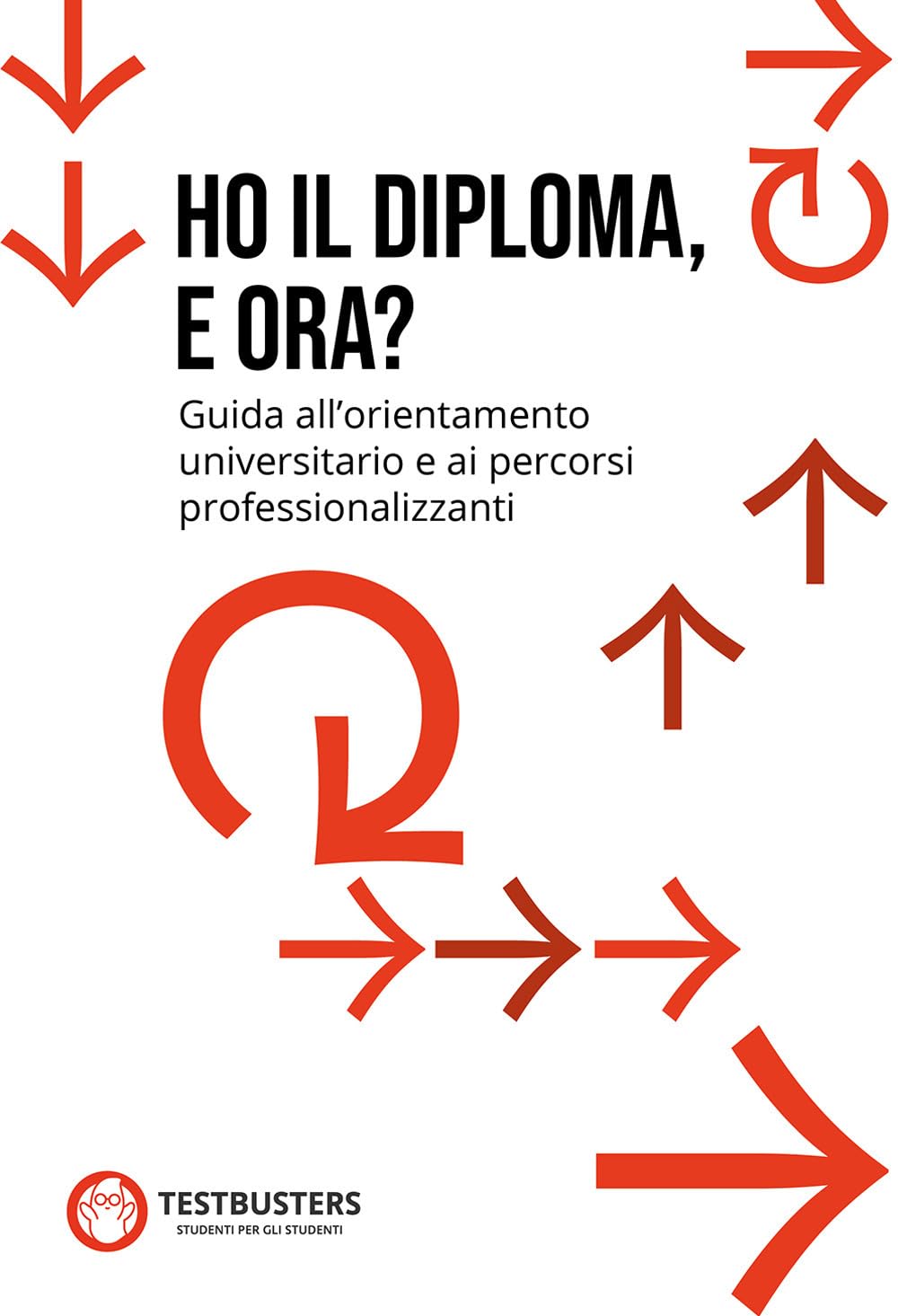 Ho il diploma, e ora? Guida all'orientamento universitario e ai percorsi professionalizzanti book