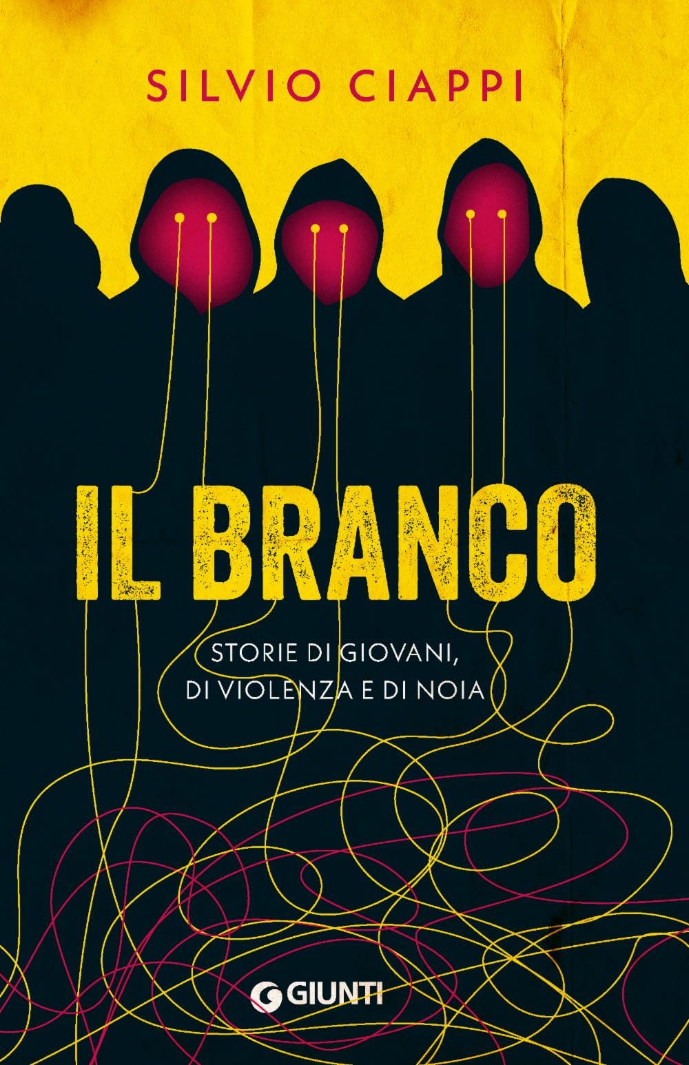 Il branco. Storie di giovani, di violenza e di noia book