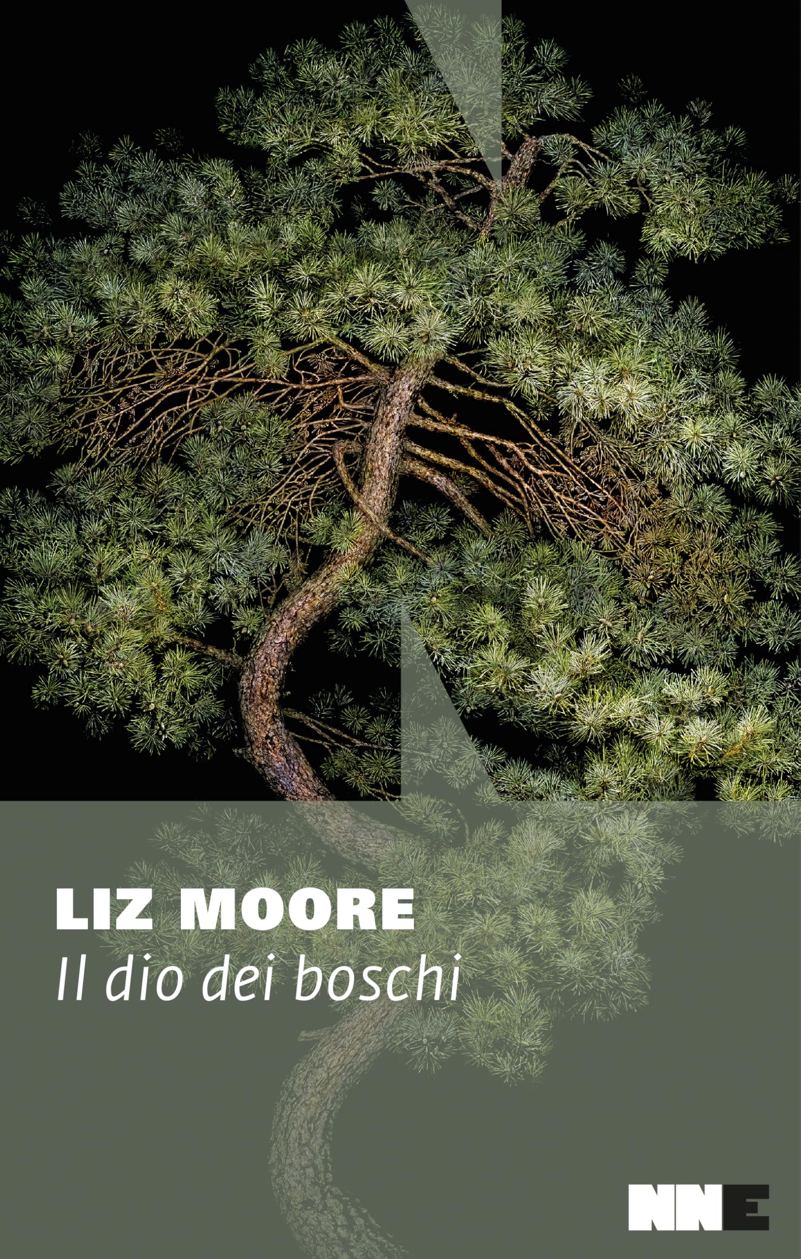 Product Image: Il dio dei boschi
