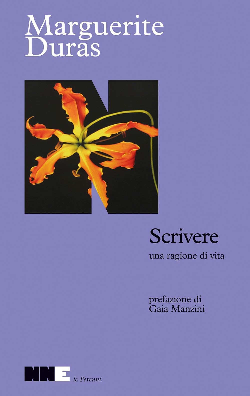 Scrivere, una ragione di vita book