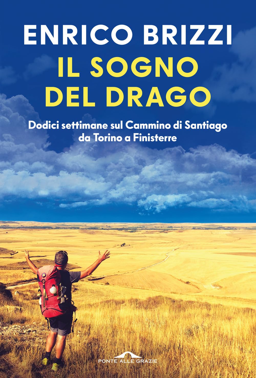 Il sogno del drago. Dodici settimane sul Cammino di Santiago da Torino a Finisterre book