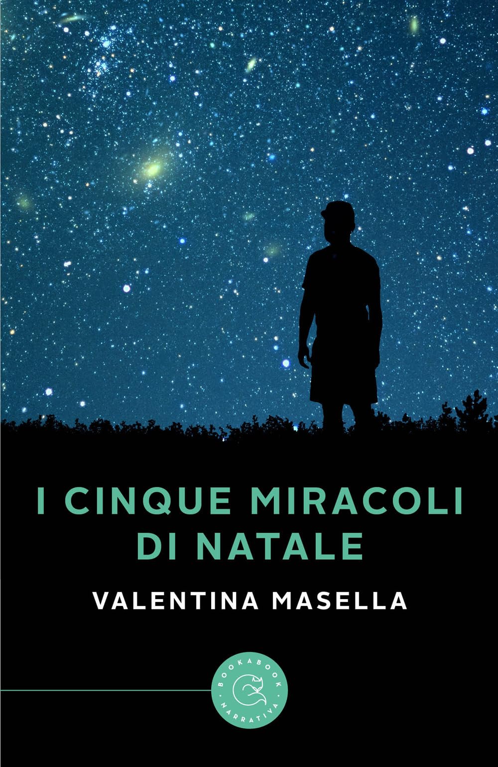 I cinque miracoli di Natale book