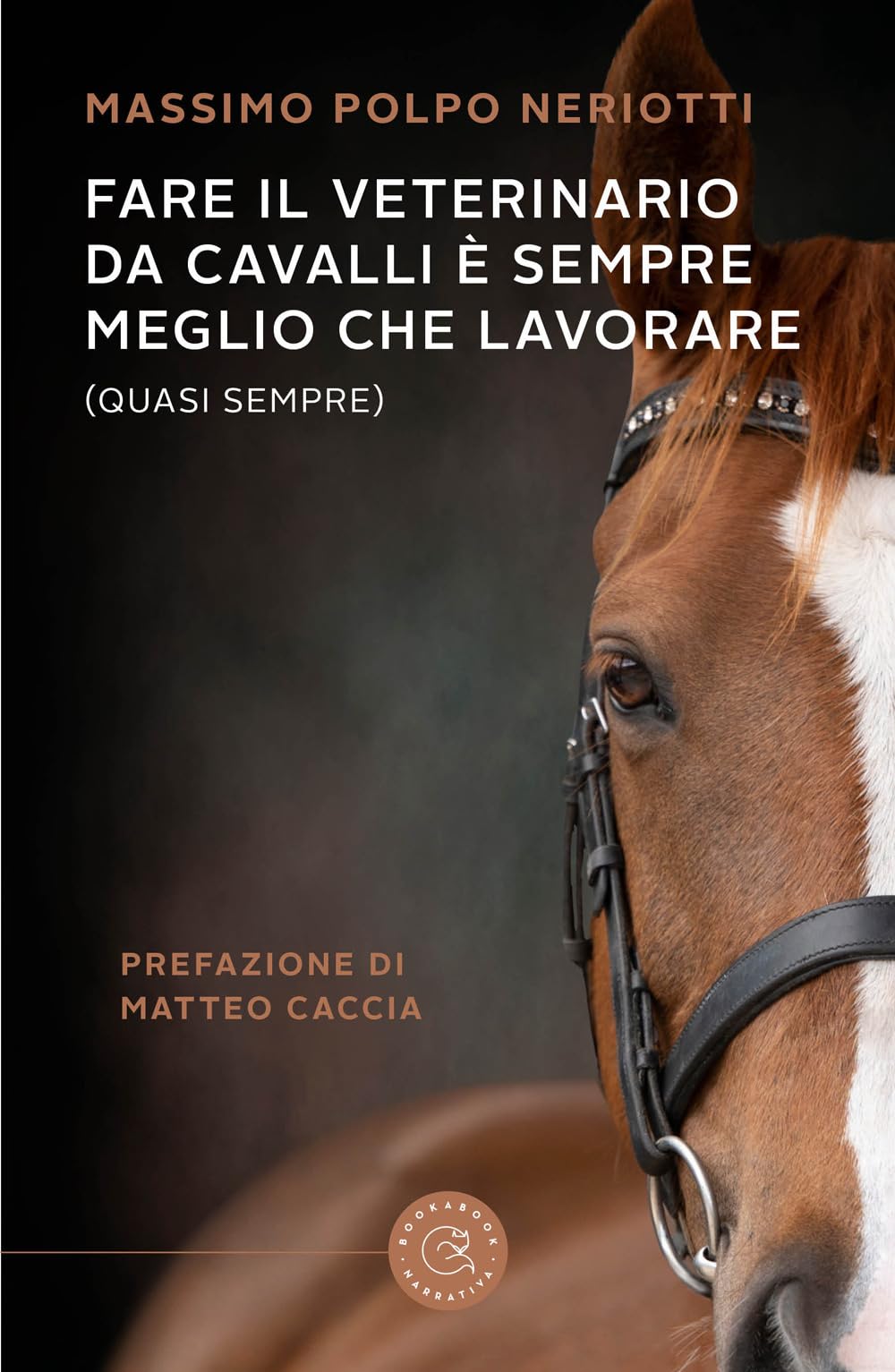 Fare il veterinario da cavalli è sempre meglio che lavorare (quasi sempre) book