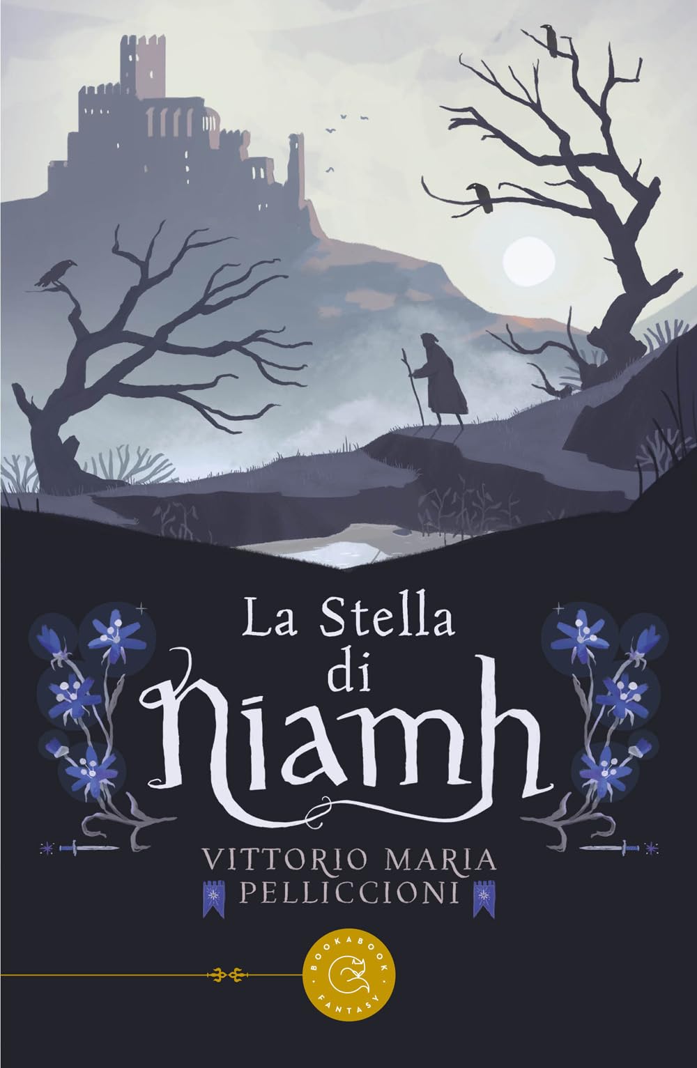 La stella di Niamh book