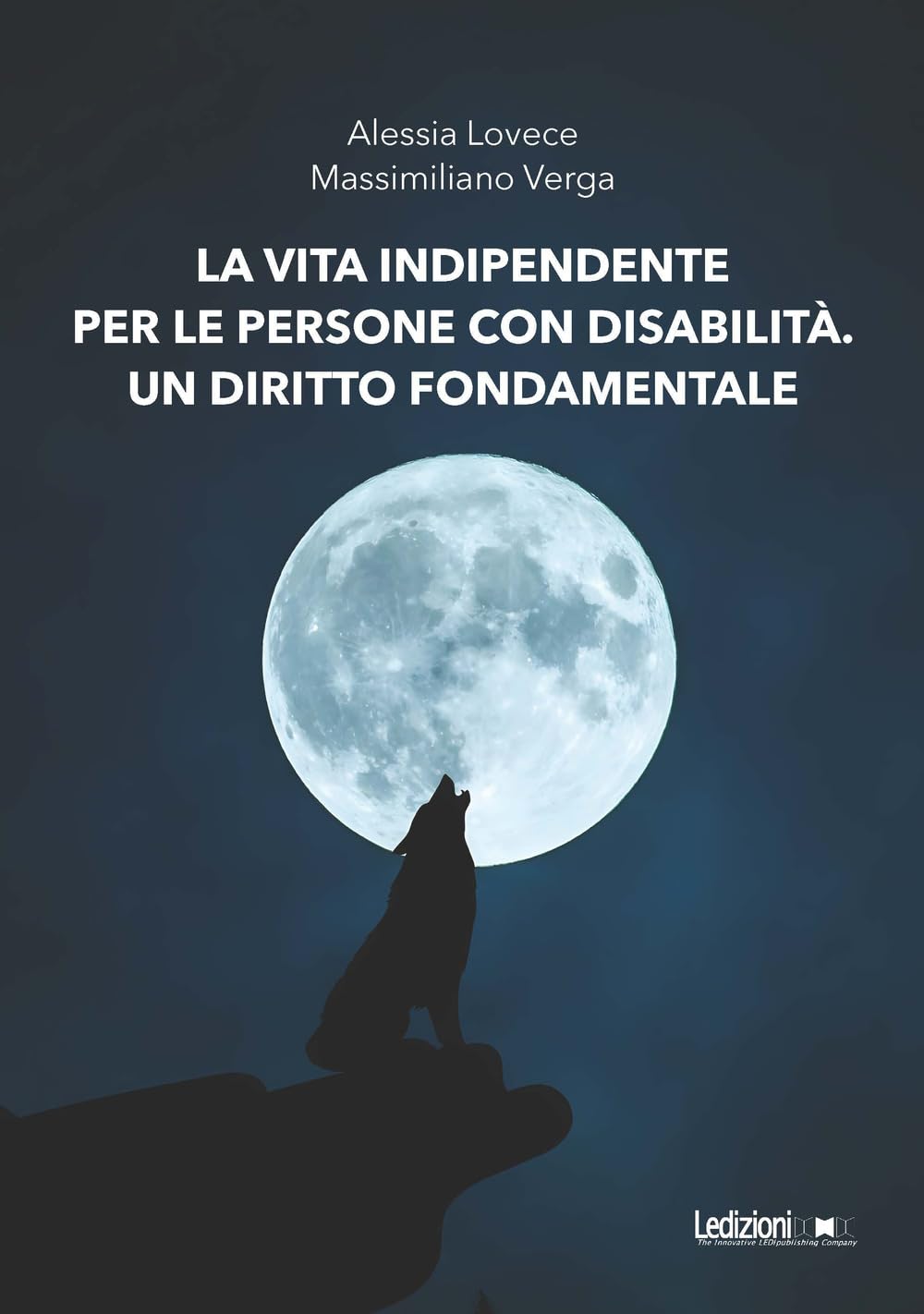 La vita indipendente per le persone con disabilità. Un diritto fondamentale book