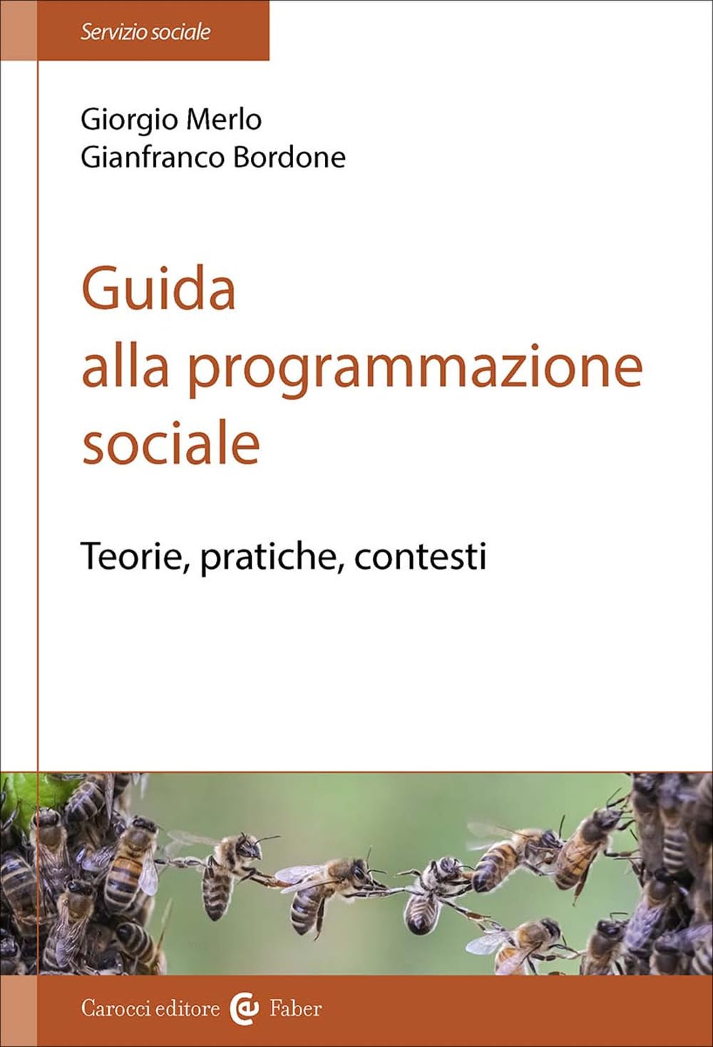 Guida alla programmazione sociale. Teorie, pratiche e contesti book