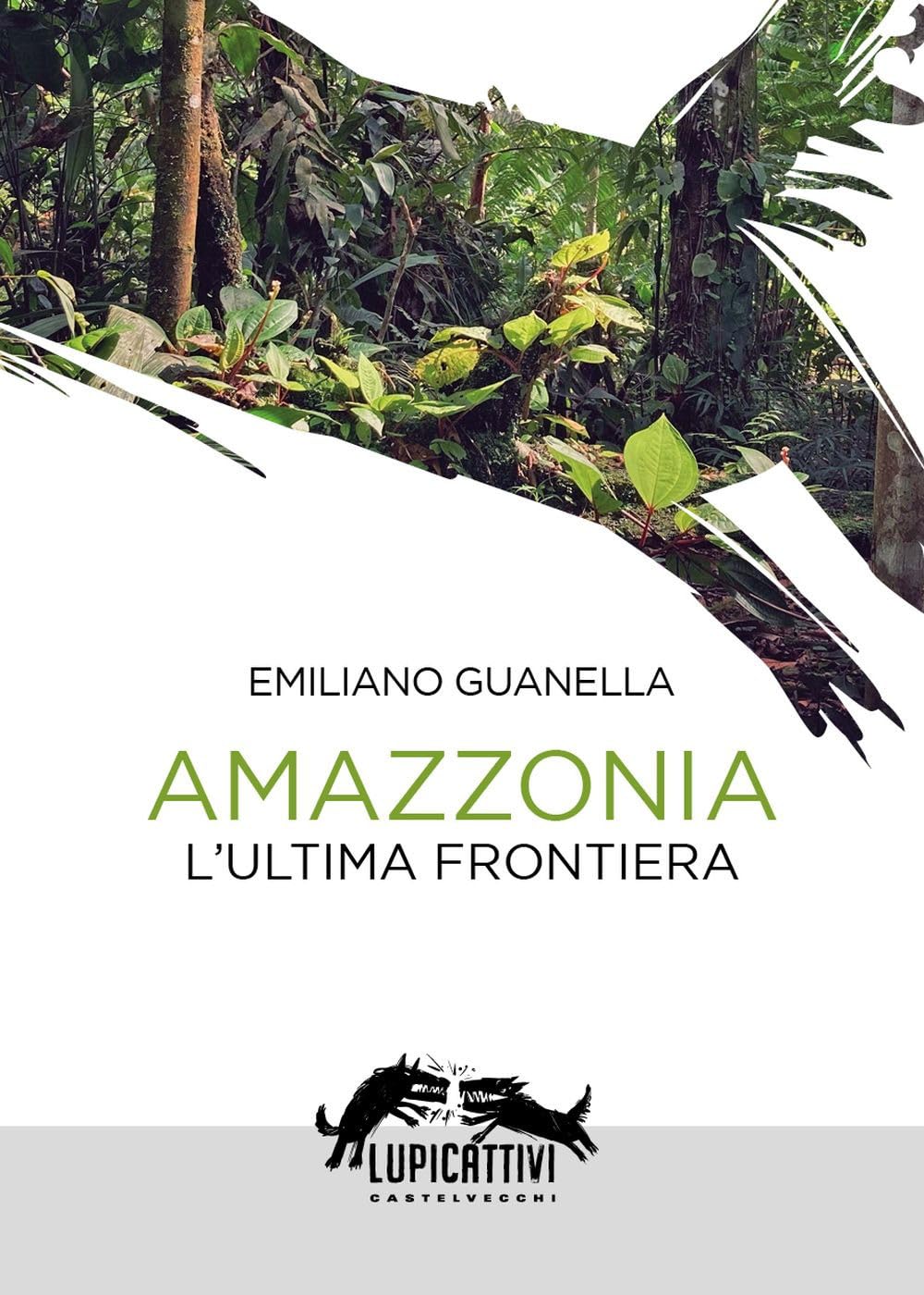 Amazzonia. L'ultima frontiera book