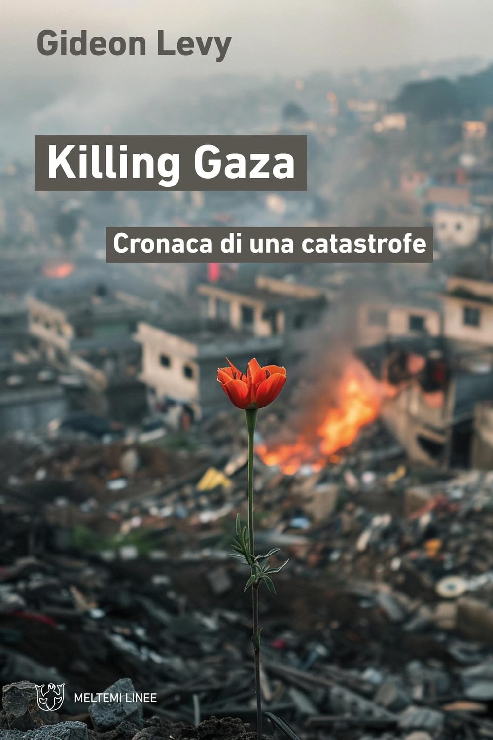 Killing Gaza. Cronaca di una catastrofe Essays & Short Stories