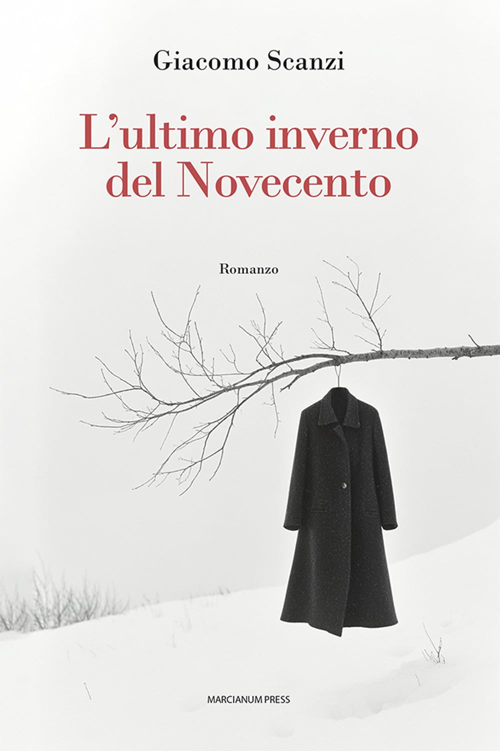 L'ultimo inverno del novecento book