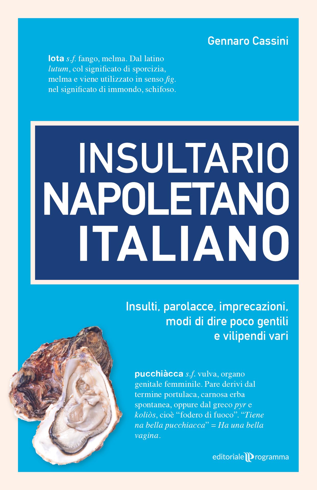 Insultario napoletano italiano. Insulti, parolacce, imprecazioni, modi di dire poco gentili e vilipendi vari book