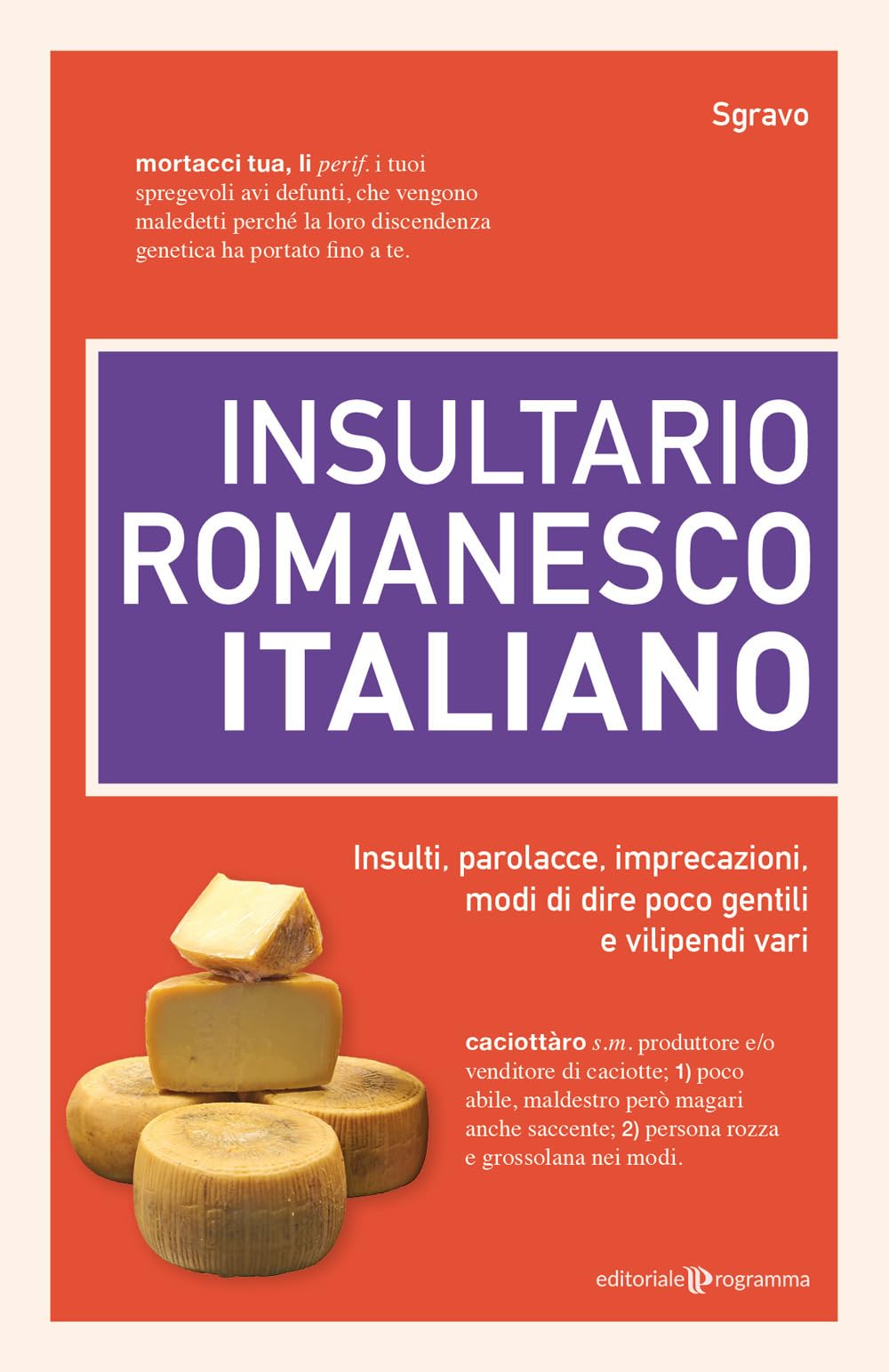 Insultario romanesco-italiano. Insulti, parolacce, imprecazioni, modi di dire poco gentili e vilipendi vari book