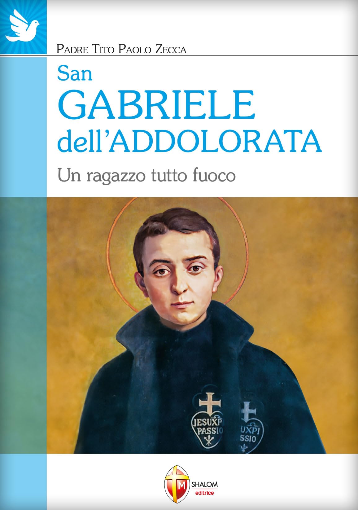 San Gabriele dell'Addolorata. Un ragazzo tutto fuoco book