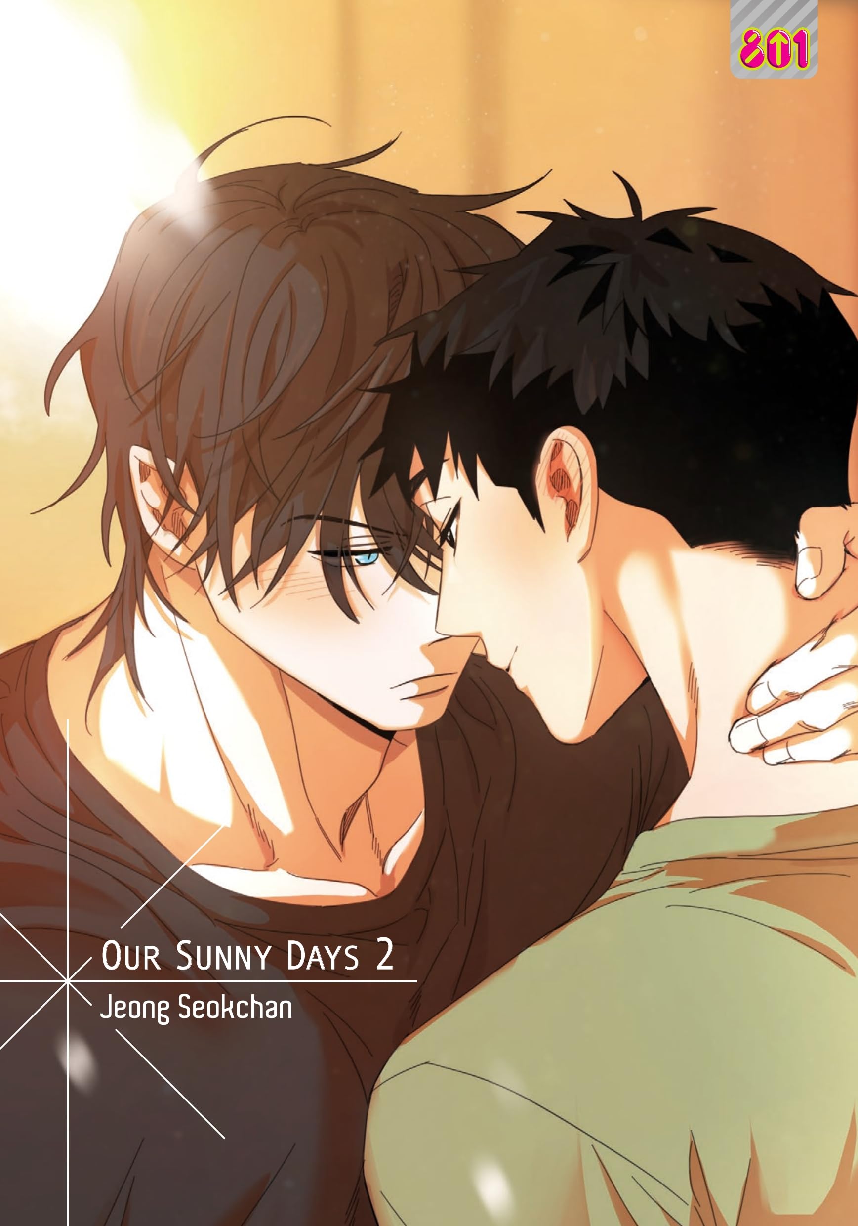 Our sunny days (Vol. 2) book