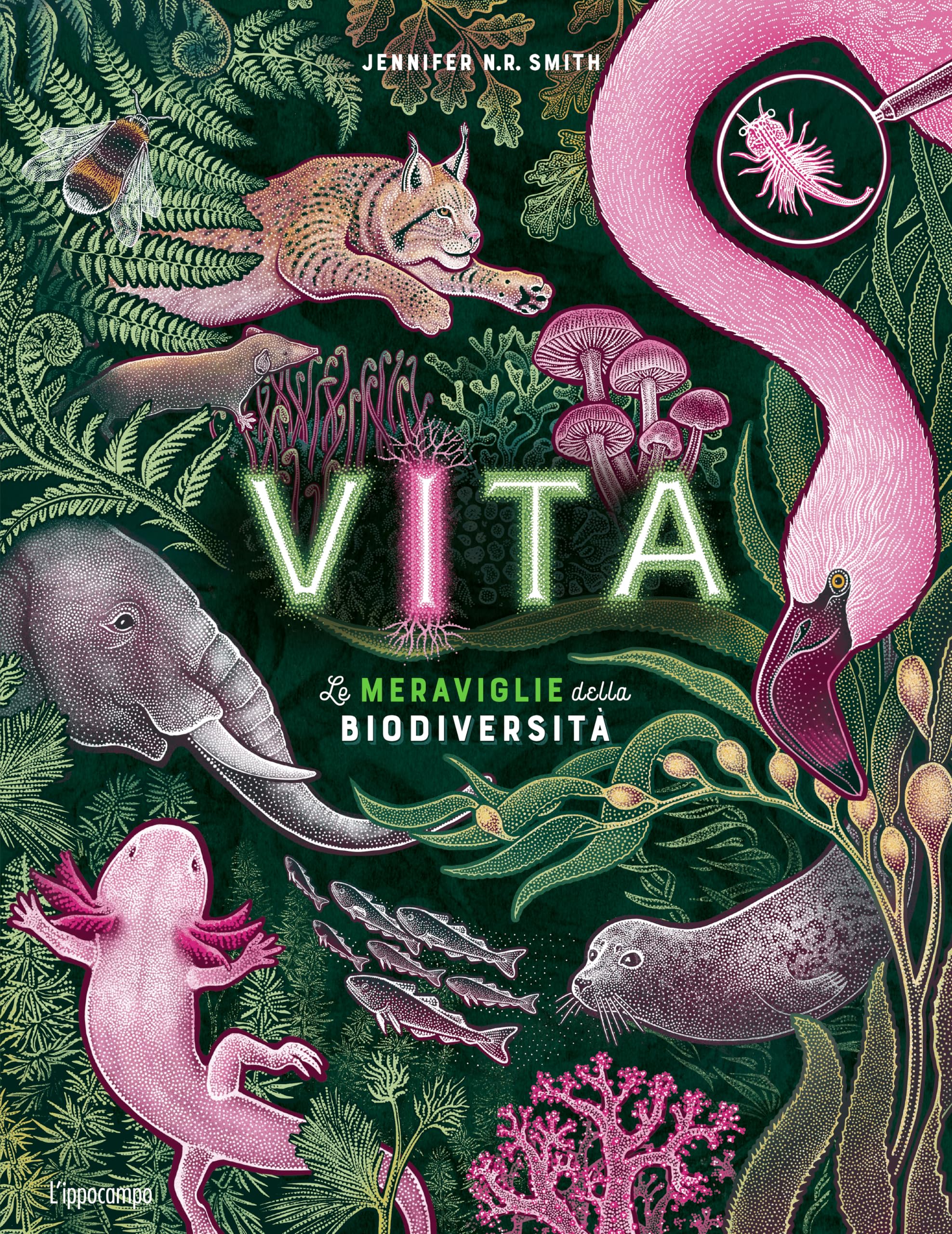 Vita. Le meraviglie della biodiversità. Album scoperte book