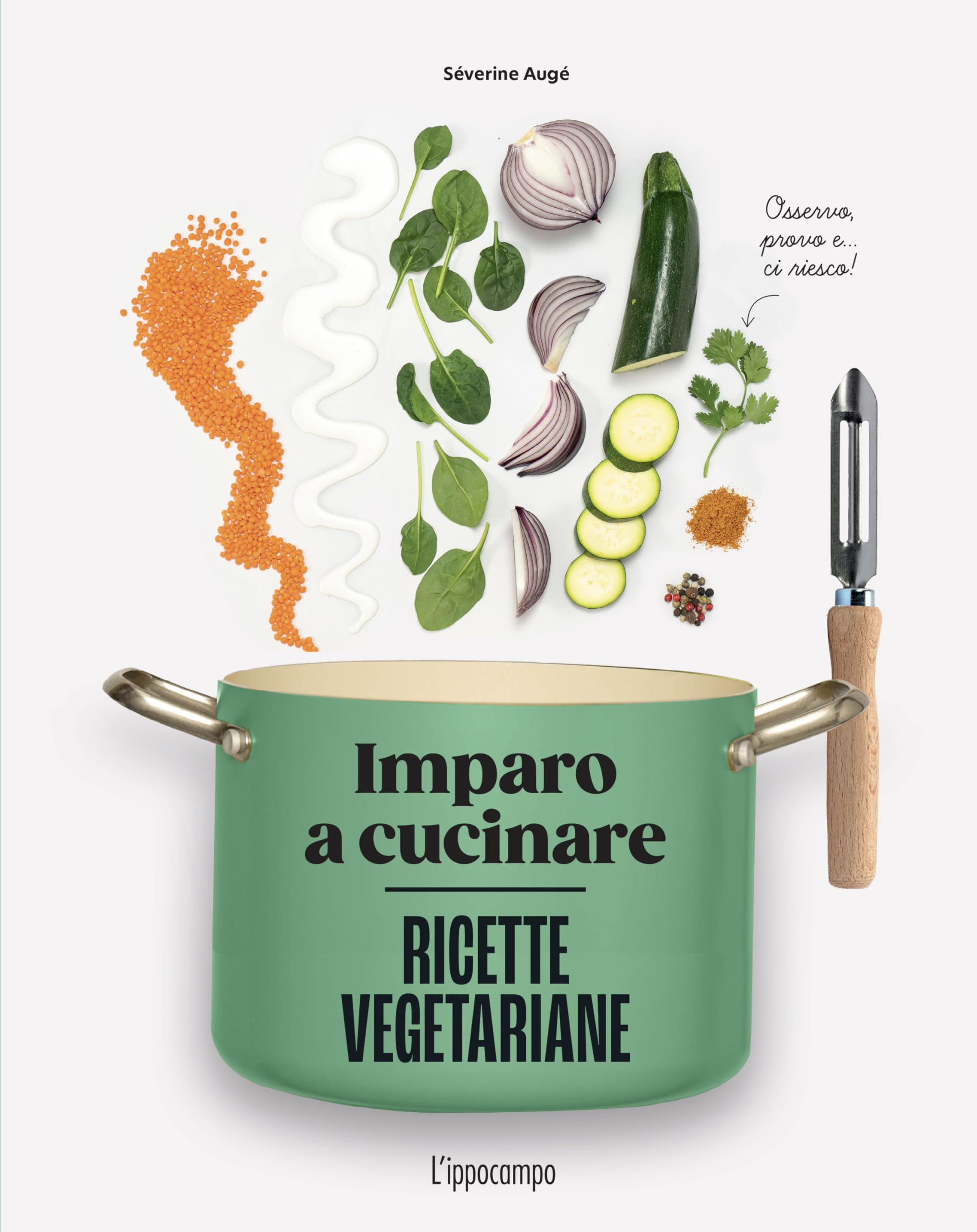 Ricette vegetariane. Imparo a cucinare book