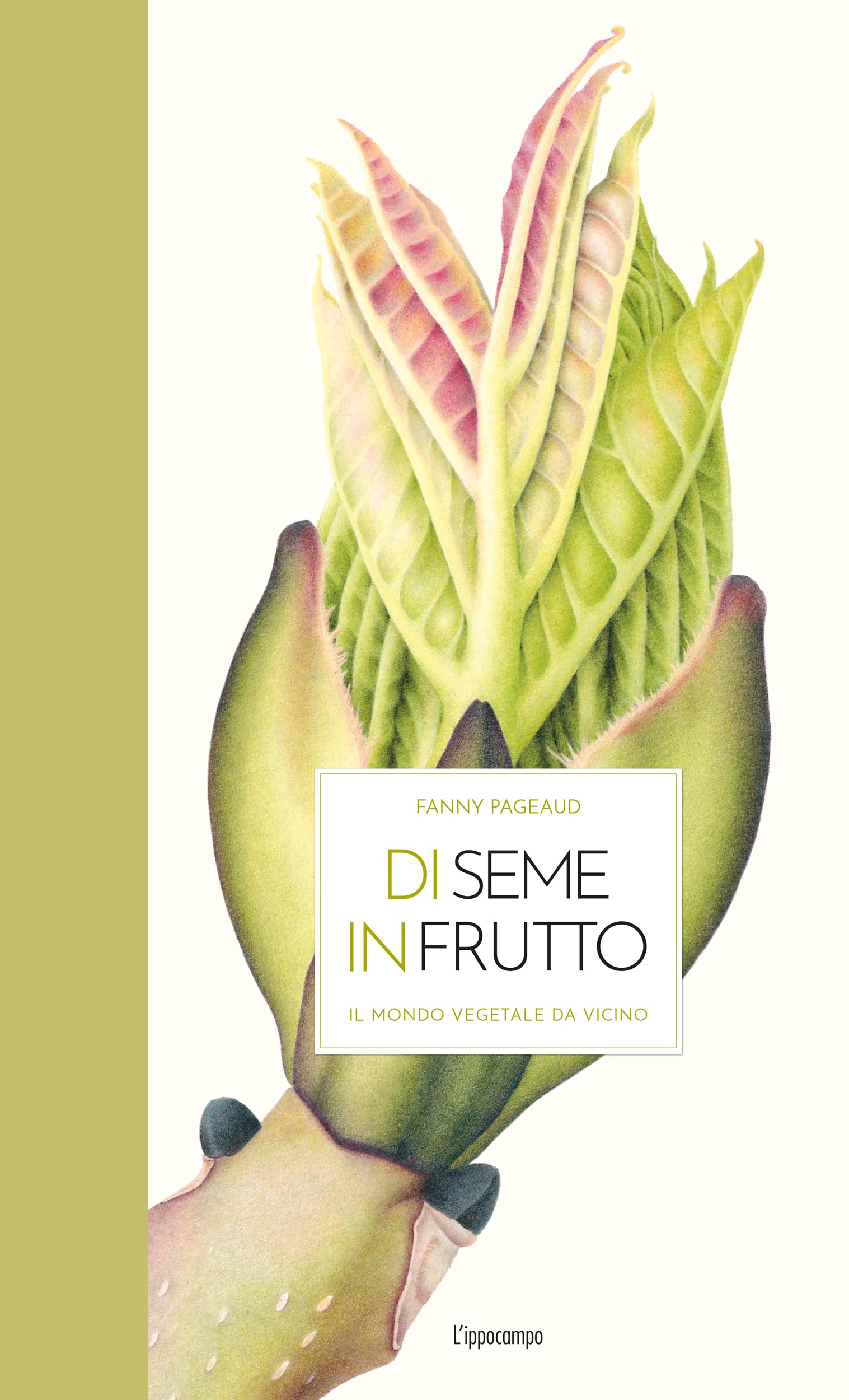Di seme in frutto. Il mondo vegetale da vicino. Ediz. illustrata book
