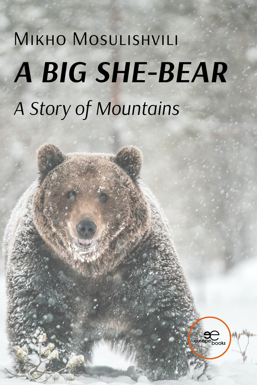 A BIG SHE-BEAR. A Story of Mountains Contemporary literature