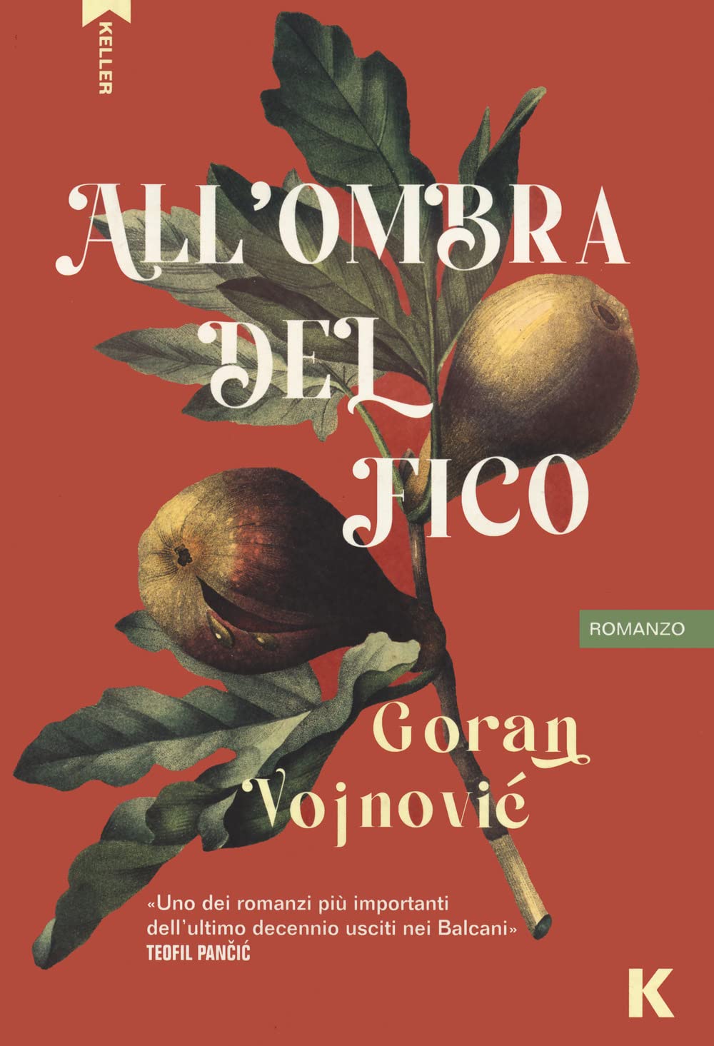 All'ombra del fico (Passi) Contemporary literature