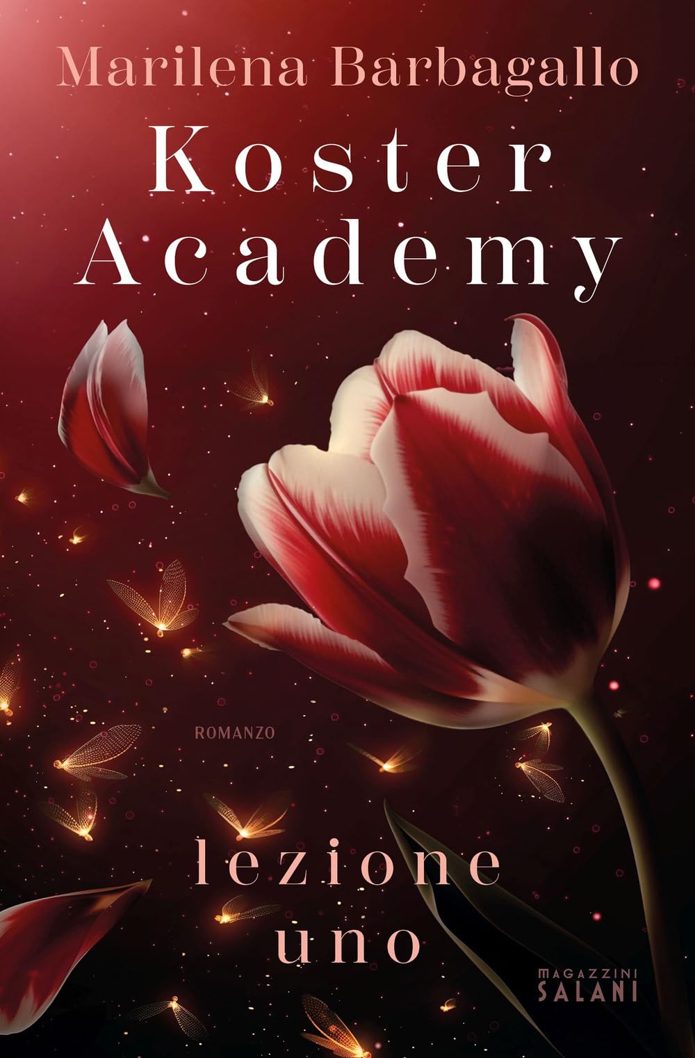 Koster Academy. Lezione uno Contemporary literature