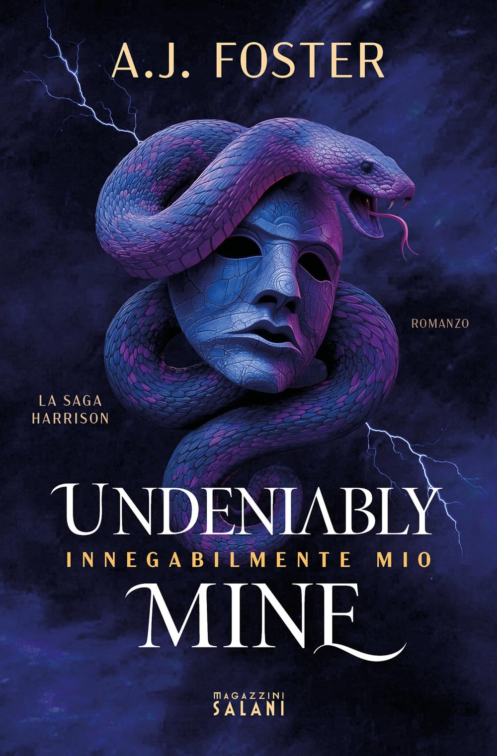 Undeniably mine. Innegabilmente mio book