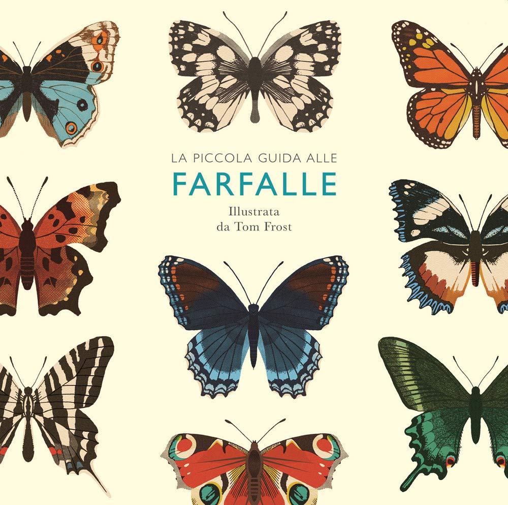 Piccola guida alle farfalle. Ediz. a colori book